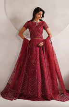 Zarif Sheen Organza Formal Wear Unstitched