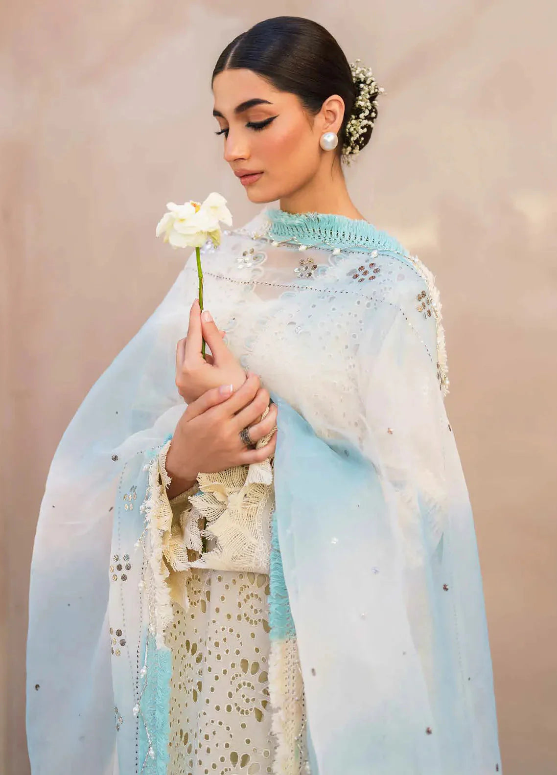 Dhoop Kinaray By Nureh Chikankari Lawn Suits Unstitched 4 Piece NS-140 - Summer Collection